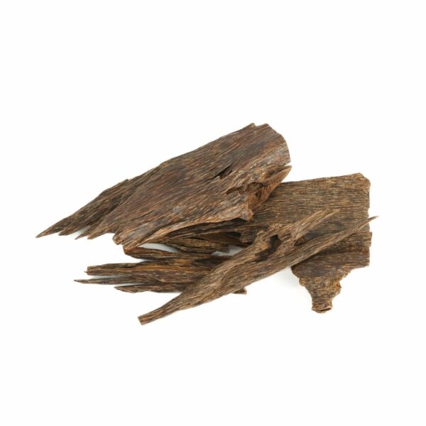 عود الرئاسة